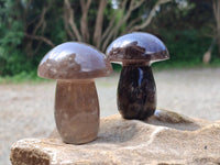 Polished Smokey Quartz Mushrooms x 6  From Madagascar