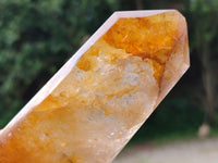 Polished Golden Healer Quartz Crystals x 6 From Ambatofinandrahana, Madagascar