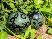 Polished Stromatolite Spheres x 6 From Katsepy, Madagascar