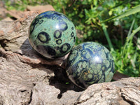 Polished Stromatolite Spheres x 6 From Katsepy, Madagascar
