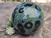 Polished Stromatolite Spheres x 6 From Katsepy, Madagascar