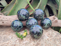 Polished Stromatolite Spheres x 6 From Katsepy, Madagascar