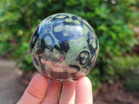 Polished Stromatolite Spheres x 6 From Katsepy, Madagascar