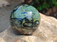 Polished Stromatolite Spheres x 6 From Katsepy, Madagascar