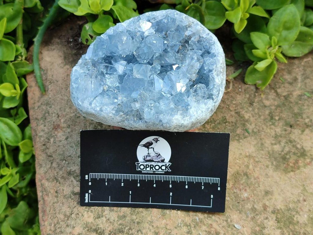 Polished Blue Celestite Cobbed Specimens x 19 From Sakoany, Madagascar