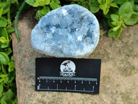 Polished Blue Celestite Cobbed Specimens x 19 From Sakoany, Madagascar