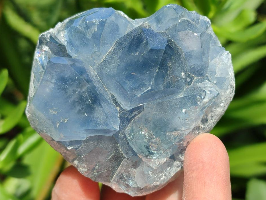 Polished Blue Celestite Cobbed Specimens x 19 From Sakoany, Madagascar