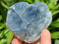 Polished Blue Celestite Cobbed Specimens x 19 From Sakoany, Madagascar
