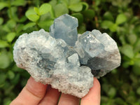 Polished Blue Celestite Cobbed Specimens x 19 From Sakoany, Madagascar