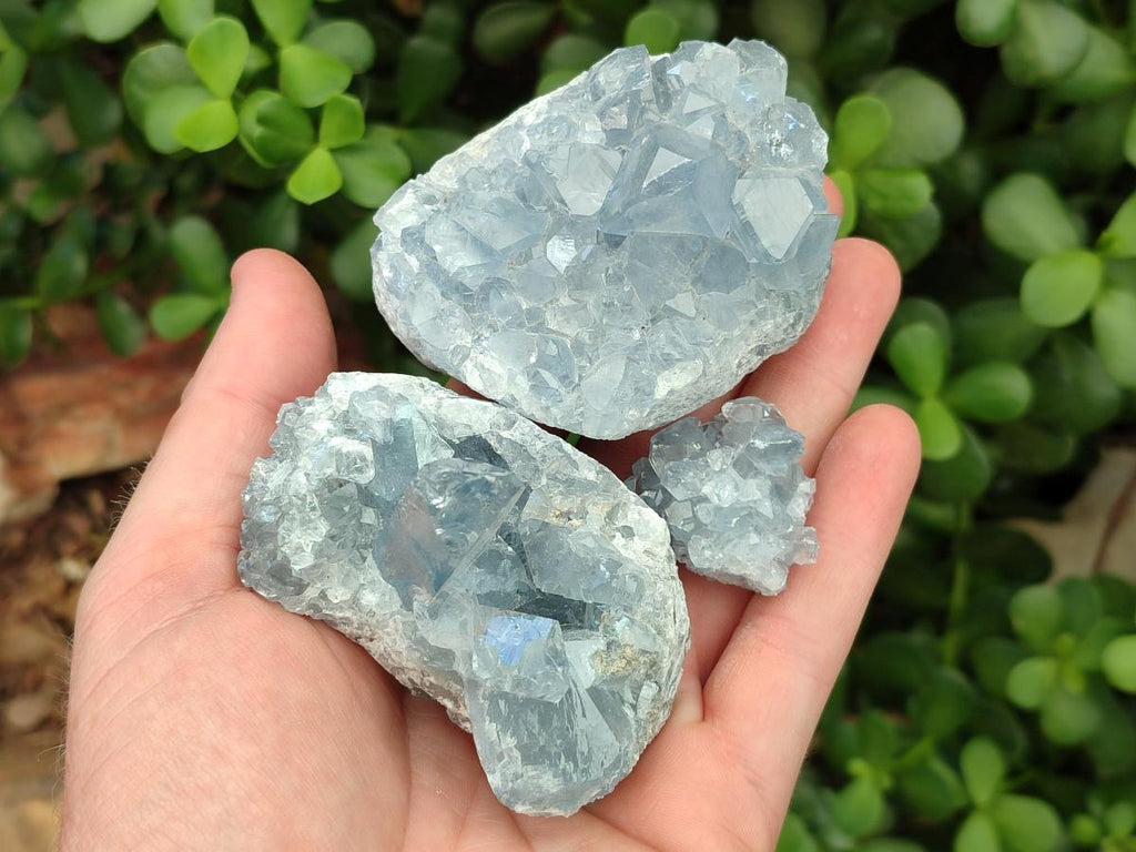 Polished Blue Celestite Cobbed Specimens x 19 From Sakoany, Madagascar