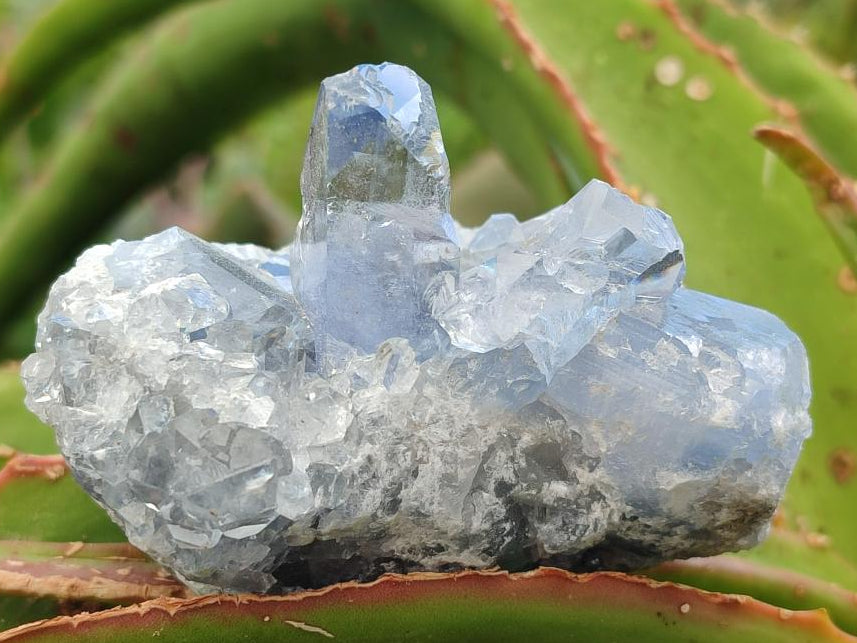 Polished Blue Celestite Cobbed Specimens x 19 From Sakoany, Madagascar