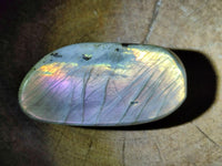 Polished Rare Purple Sunset Flash Labradorite Standing Free Forms x 12 From Tulear, Madagascar