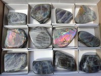 Polished Rare Purple Sunset Flash Labradorite Standing Free Forms x 12 From Tulear, Madagascar
