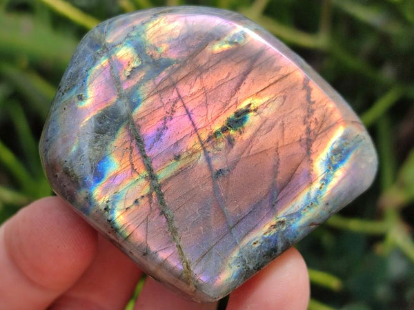 Polished Rare Purple Sunset Flash Labradorite Standing Free Forms x 12 From Tulear, Madagascar