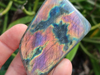 Polished Rare Purple Sunset Flash Labradorite Standing Free Forms x 12 From Tulear, Madagascar