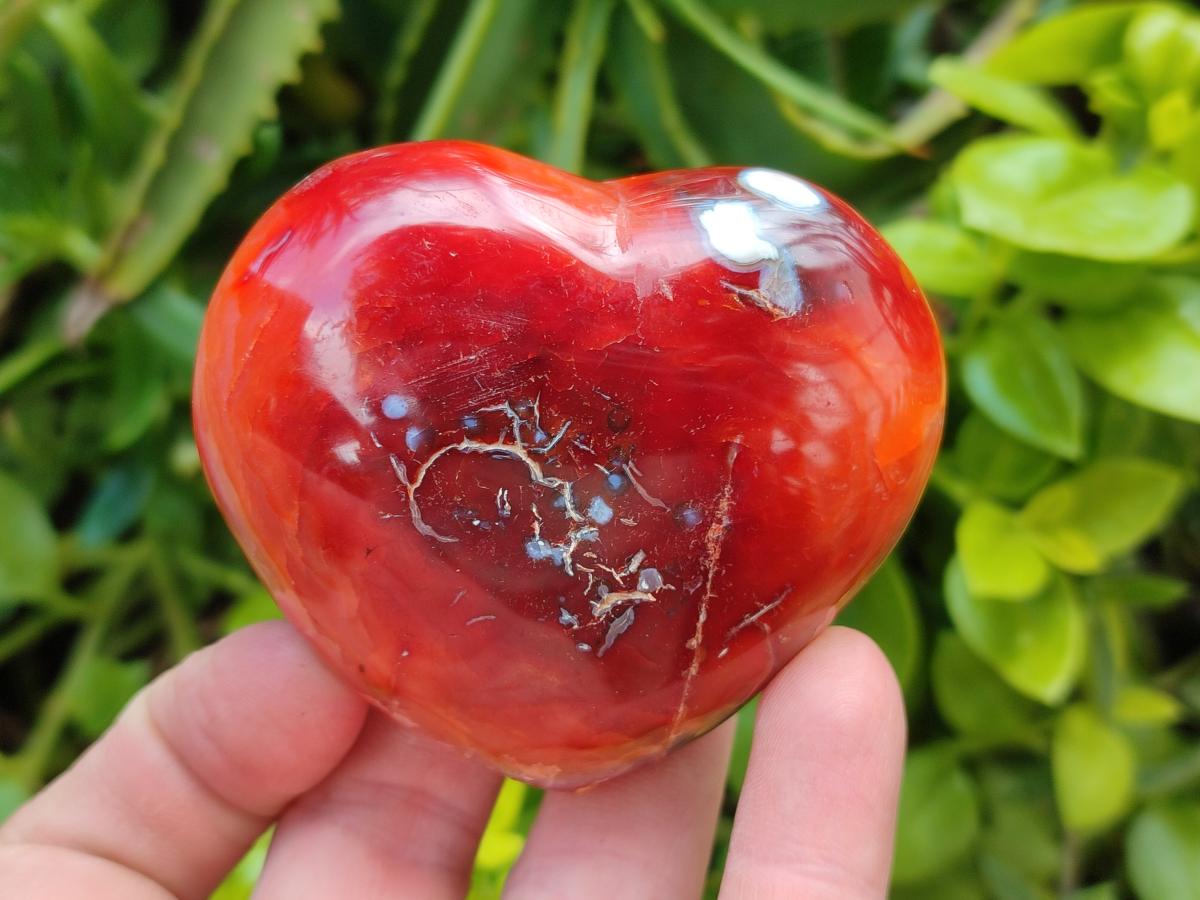 Polished Carnelian Agate Gemstone Hearts x 6 From Madagascar