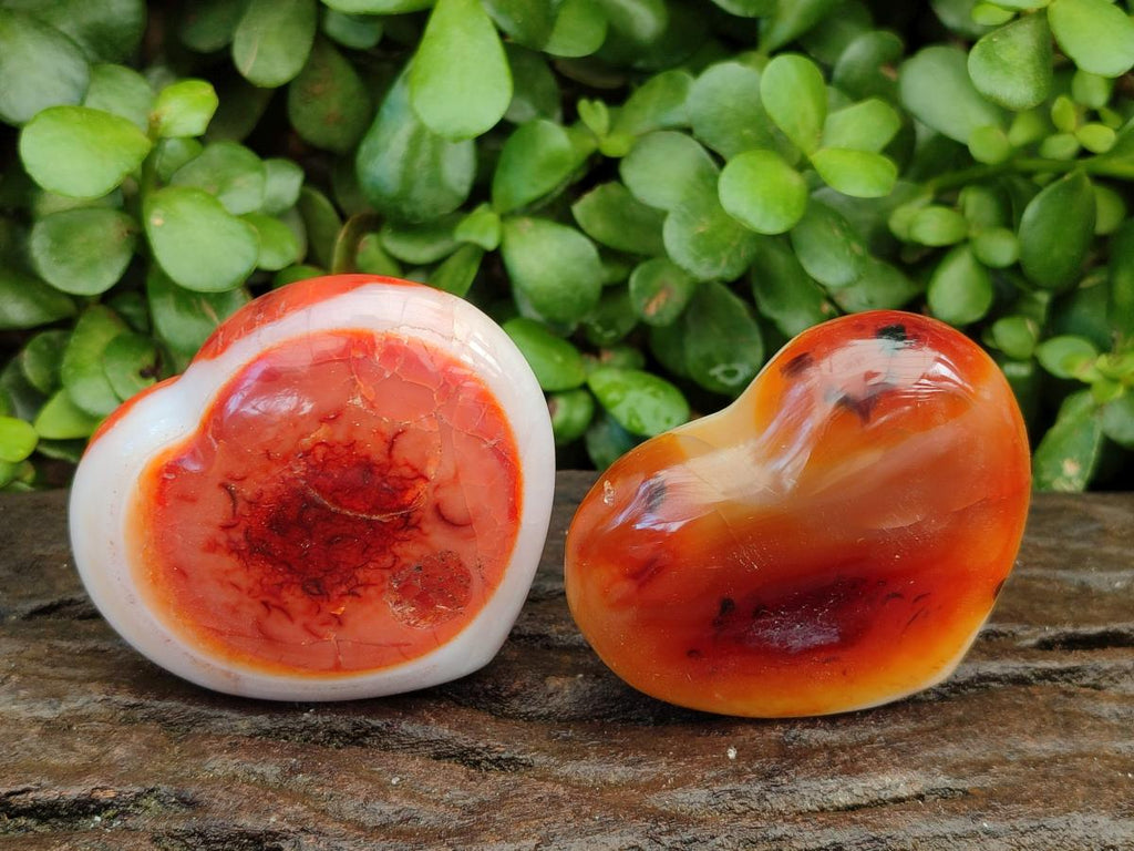 Polished Carnelian Agate Gemstone Hearts x 6 From Madagascar