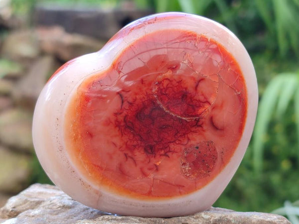 Polished Carnelian Agate Gemstone Hearts x 6 From Madagascar