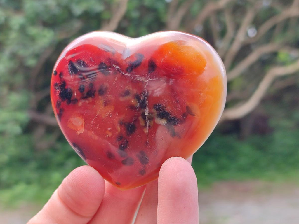 Polished Carnelian Agate Gemstone Hearts x 6 From Madagascar