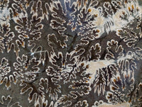 Polished Large Cleoniceras Ammonite Fossil x 1 From Tulear, Madagascar