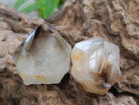 Polished Phantom Smokey Quartz Crystals x 12 From Madagascar