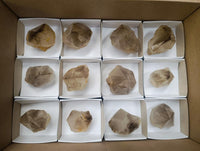 Polished Phantom Smokey Quartz Crystals x 12 From Madagascar