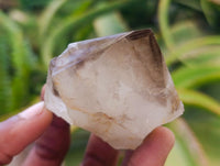 Polished Phantom Smokey Quartz Crystals x 12 From Madagascar