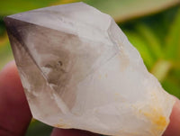 Polished Phantom Smokey Quartz Crystals x 12 From Madagascar