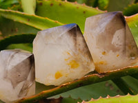 Polished Phantom Smokey Quartz Crystals x 12 From Madagascar