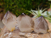 Polished Phantom Smokey Quartz Crystals x 12 From Madagascar
