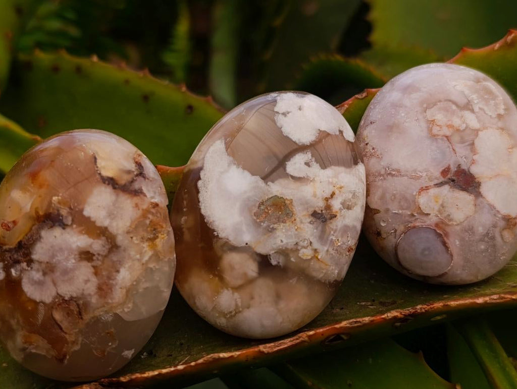 Polished Flower Agate Palm Stones x 20 From Antsahalova, Madagascar