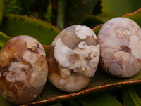 Polished Flower Agate Palm Stones x 20 From Antsahalova, Madagascar