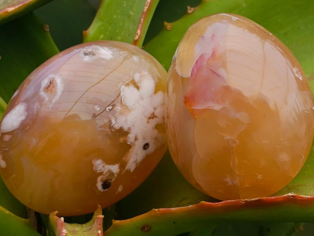 Polished Flower Agate Palm Stones x 20 From Antsahalova, Madagascar