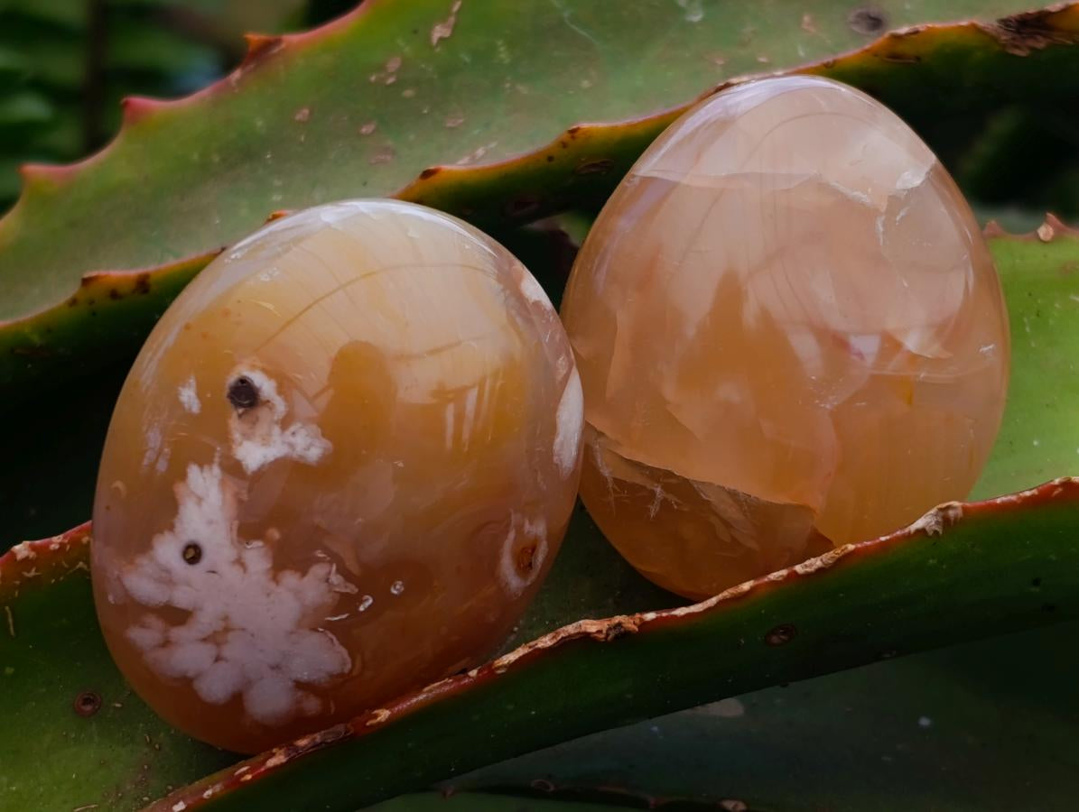 Polished Flower Agate Palm Stones x 20 From Antsahalova, Madagascar
