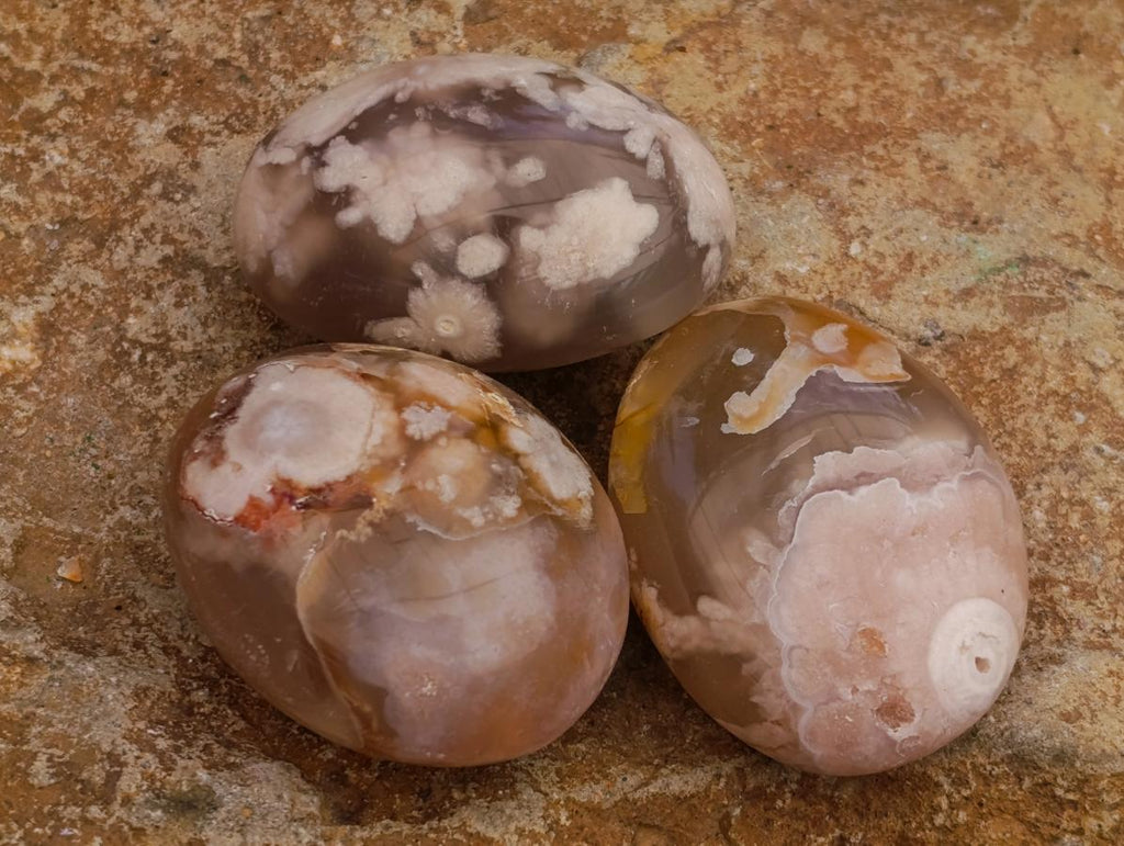 Polished Flower Agate Palm Stones x 20 From Antsahalova, Madagascar