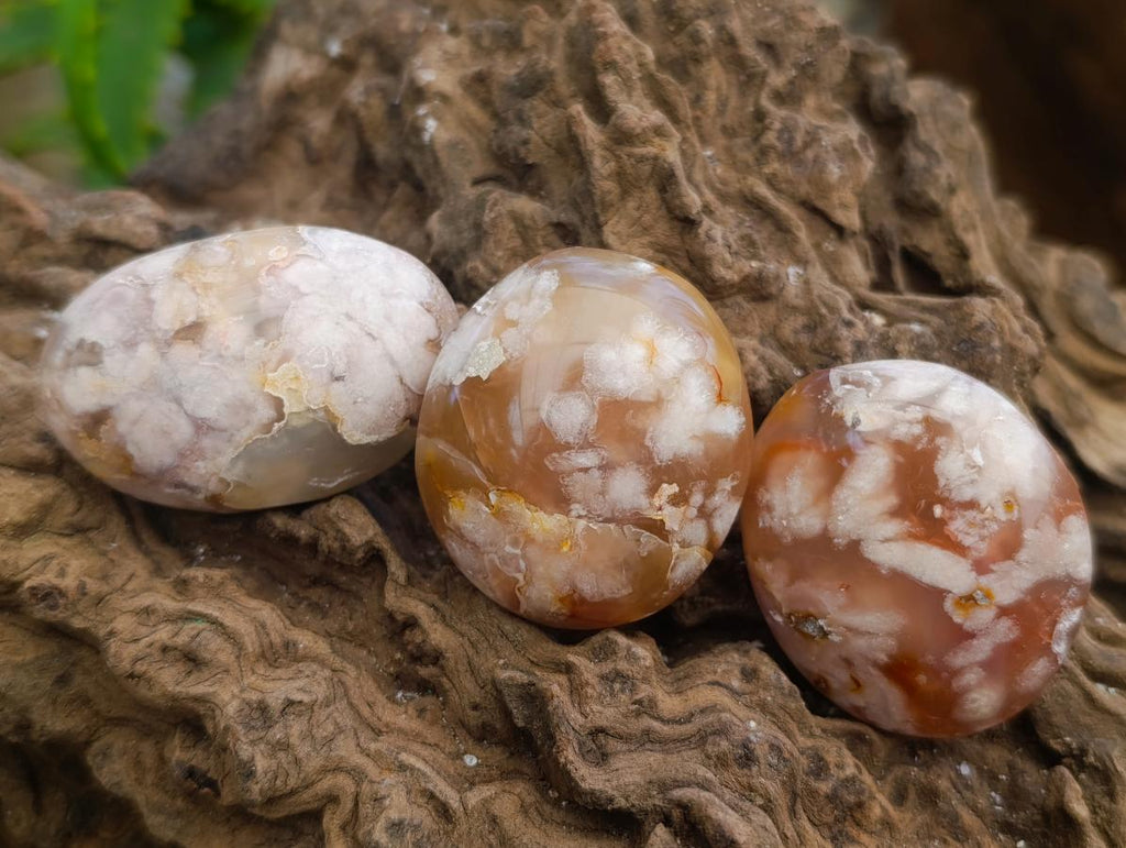 Polished Flower Agate Palm Stones x 20 From Antsahalova, Madagascar