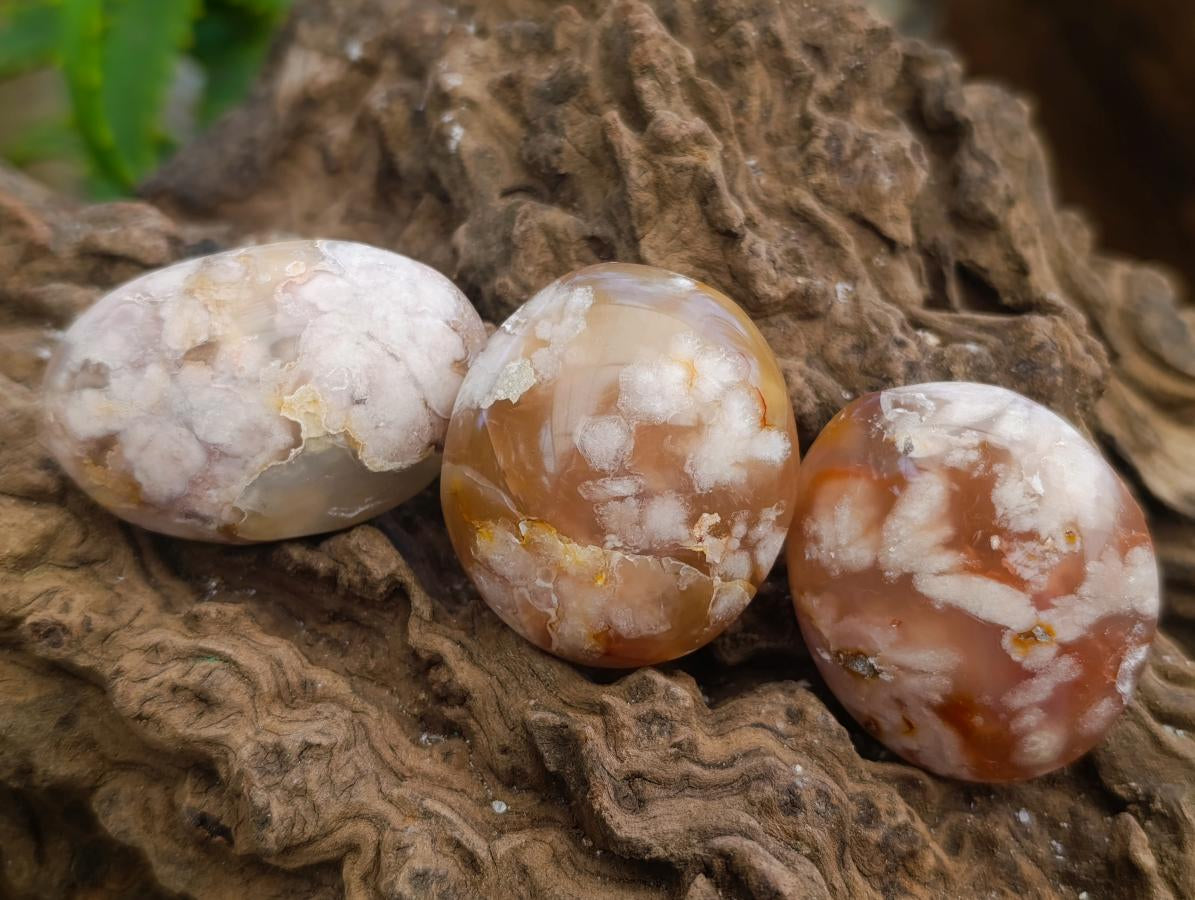 Polished Flower Agate Palm Stones x 20 From Antsahalova, Madagascar