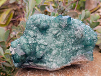 Natural Green Fluorite Cluster Specimen x 1 From Mandrosonoro, Madagascar