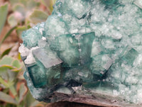 Natural Green Fluorite Cluster Specimen x 1 From Mandrosonoro, Madagascar