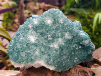 Natural Green Fluorite Cluster Specimen x 1 From Mandrosonoro, Madagascar