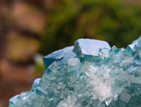 Natural Green Fluorite Cluster Specimen x 1 From Mandrosonoro, Madagascar