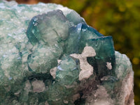 Natural Green Fluorite Cluster Specimen x 1 From Mandrosonoro, Madagascar