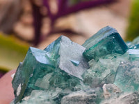 Natural Green Fluorite Cluster Specimen x 1 From Mandrosonoro, Madagascar