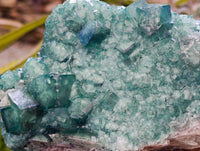 Natural Green Fluorite Cluster Specimen x 1 From Mandrosonoro, Madagascar