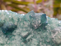 Natural Green Fluorite Cluster Specimen x 1 From Mandrosonoro, Madagascar