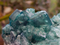 Natural Green Fluorite Cluster Specimen x 1 From Mandrosonoro, Madagascar
