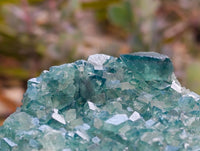 Natural Green Fluorite Cluster Specimen x 1 From Mandrosonoro, Madagascar