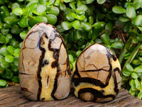 Polished Septerye Standing Free Forms x 2 From Mahajanga, Madagascar