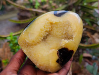 Polished Septerye Standing Free Forms x 2 From Mahajanga, Madagascar