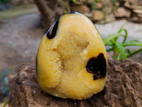 Polished Septerye Standing Free Forms x 2 From Mahajanga, Madagascar